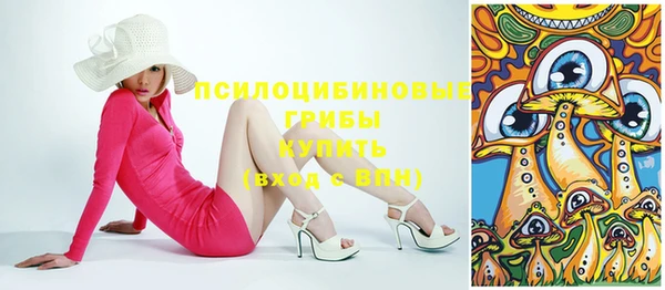 бошки Няндома