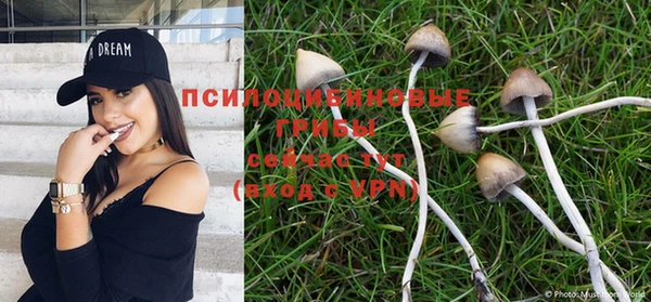 сатива Нязепетровск