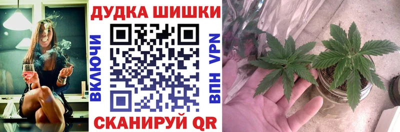 Марихуана ГИДРОПОН  где купить   Отрадная 